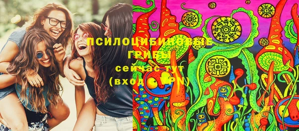 PSILOCYBIN Туринск