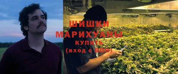 PSILOCYBIN Туринск